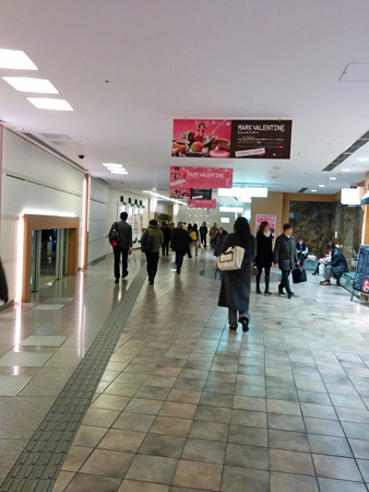 IMG_20140123_214603_edited-1