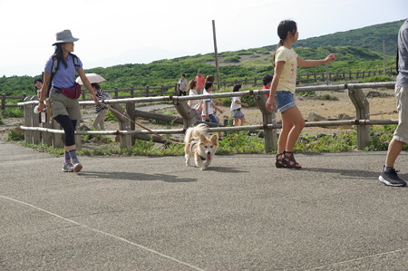 IMGP0324
