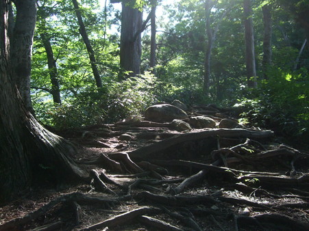 DSCF2357