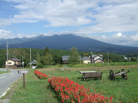 DSCF2911