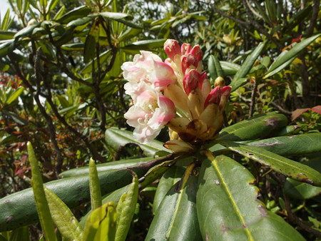 P6290051
