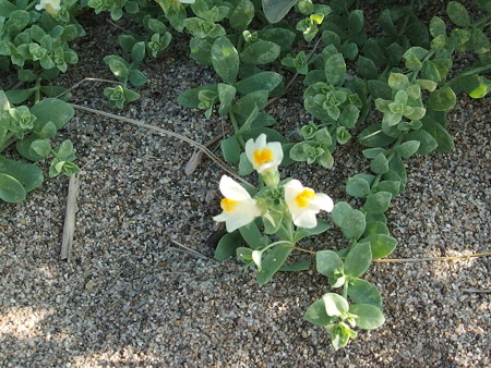 P8100372
