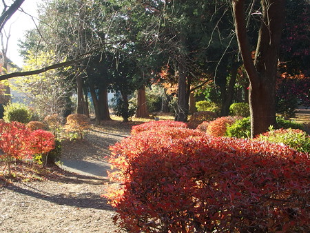 PC080155