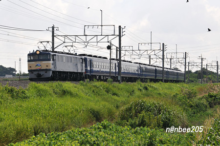 9735ﾚ　「快速 EL&SLみなかみ」　EF60 19+12系6B