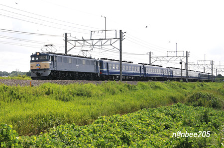 9735ﾚ　「快速 EL&SLみなかみ」　EF60 19+12系6B