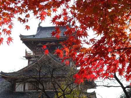 20131201_京都伏見散策_0025
