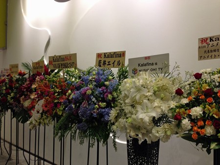 kaalfina 031_edited-1