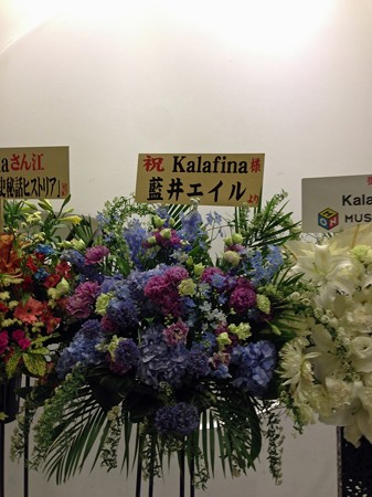 kaalfina 034_edited-1