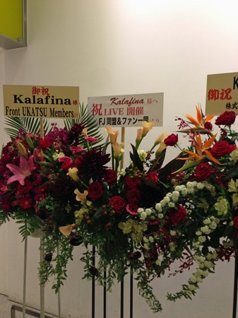 kaalfina 042_edited-1