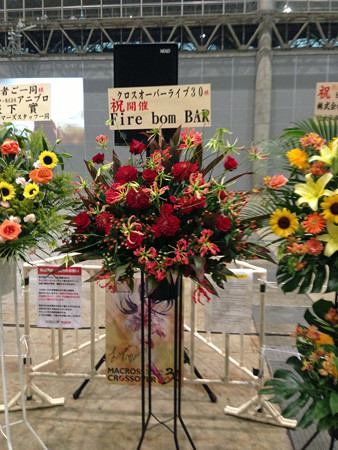 Macrossip 013_edited-1