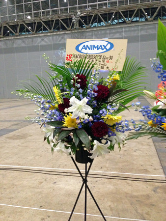 Macrossip 020_edited-1