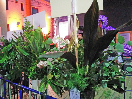 IMG_20140123_171946_edited-1