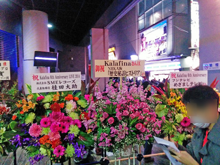 IMG_20140123_213339_edited-1