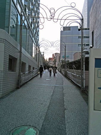 IMG_20140126_151658_edited-1