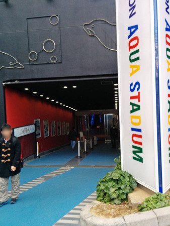 IMG_20140126_152748_edited-1