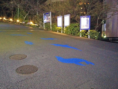 IMG_20140126_191918_edited-1