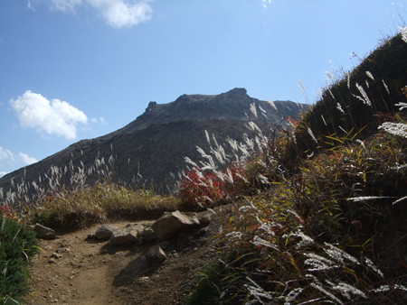 DSCF3478