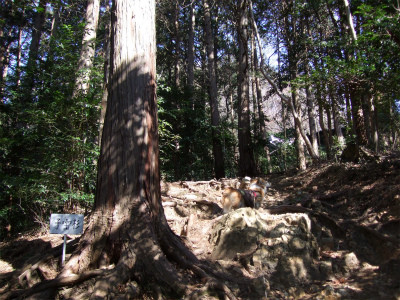 DSCF5416s