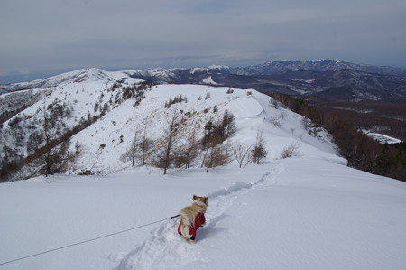 IMGP4086