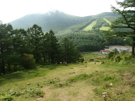P6290021