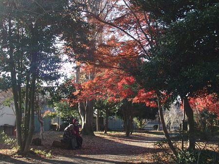 PC080156