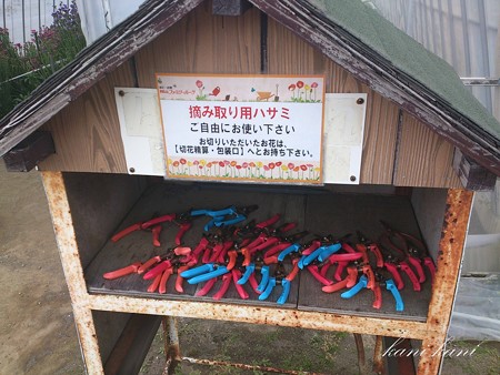 館山ファミリーパーク