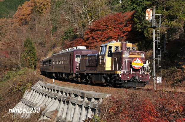 8722ﾚ　「トロッコわたらせ渓谷4号」　DE101537+わ99x4B