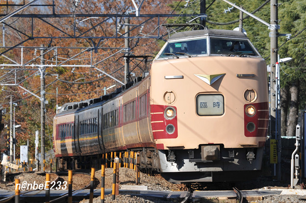 9456M「紅葉鎌倉号」　183系ﾅﾉN101編成