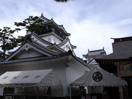 20130714 岡崎城_0035