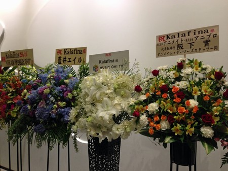 kaalfina 030_edited-1