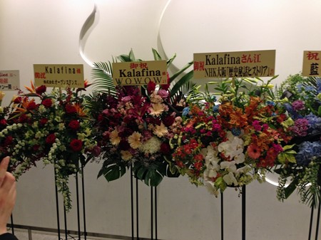 kaalfina 038_edited-1