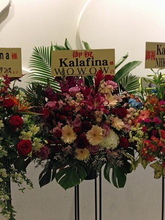 kaalfina 039_edited-1