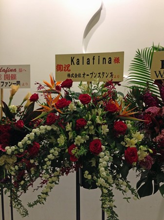 kaalfina 040_edited-1