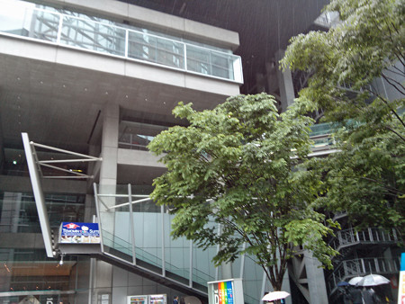 IMG_20130511_131646_edited-1