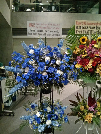 IMG_20130511_204130_edited-1