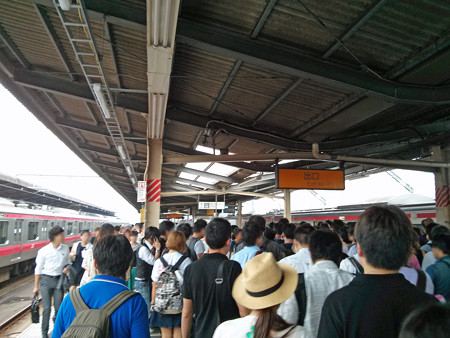 IMG_20130713_143312_edited-1