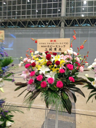 Macrossip 006_edited-1