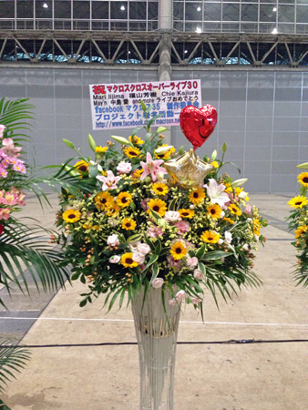 Macrossip 010_edited-1