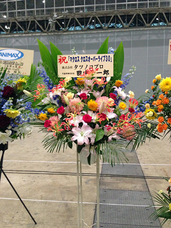 Macrossip 019_edited-1