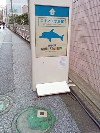 IMG_20140126_151656_edited-1