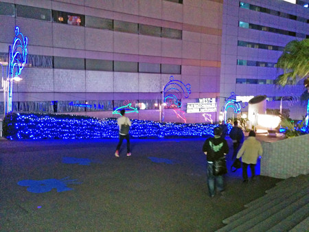 IMG_20140126_191908_edited-1