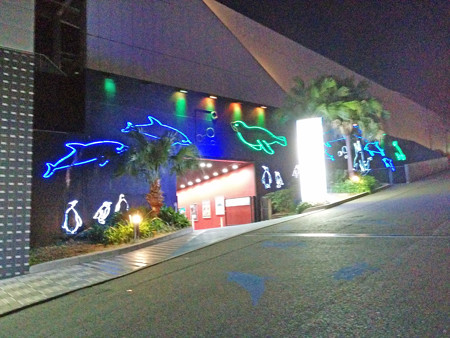 IMG_20140126_191929_edited-1