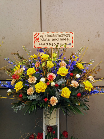 IMG_20140223_145146_edited-1