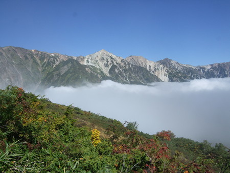DSCF3020