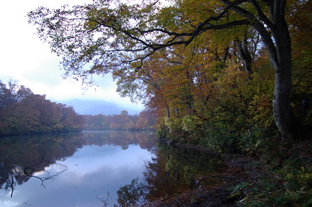 IMGP2345