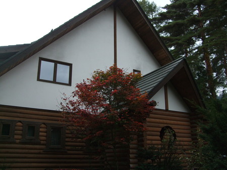 DSCF4008