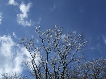 DSCF4763