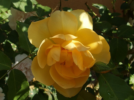 P5170018