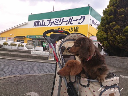 館山ファミリーパーク