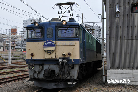 EF65 電気機関車撮影会 in 田端運転所【2】 | なんびーの週末鉄 別館